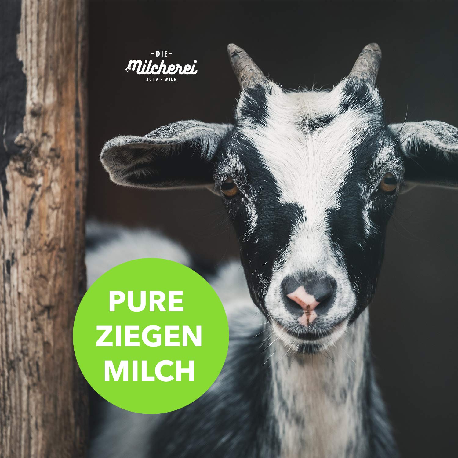 Ziegen Milch Pulver I Milcherei I Regional Und Zusatzstofffrei I 800g Mhd 29 08 2021 Amazon De Lebensmittel Getranke