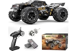 TENSSENX 1/16 All Terrain Fast RC Cars for Adults, 40KPH High Speed 4WD Electric Off-Road Remote Control Monster Truck, 2.4Ghz Waterproof Monster Truck with 2 Batteries for Boys & Kids