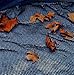 Blue Wave BWC574 30-ft x 50-ft Rectangular Leaf Net In Ground Pool Cover,Black
