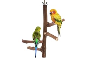 CozyCabin Natural Bird Perch Stand, Hanging Multi Branch Grapevine Parrot Perch Bird Cage Toys for Small Budgies Conure Parrot Parakeets Cockatiels Lovebirds (Branch)