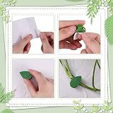 Cerolopy 30 Pcs Plant Climbing Wall Clips with Adhesive Green Leaf Shaped view 3