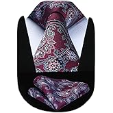 HISDERN Ties for Men Paisley Floral Tie Handkerchief Classic Woven Business Formal Necktie and Pocket Square Set Wedding