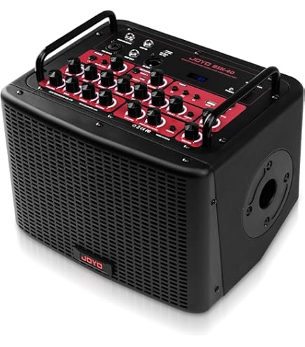 Amazon.com: Avalon U5 Class A Active Instrument DI and