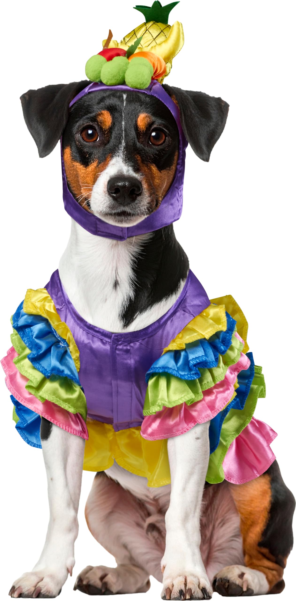 Rubie's Brazilian Bombshell Pet Costume, Large