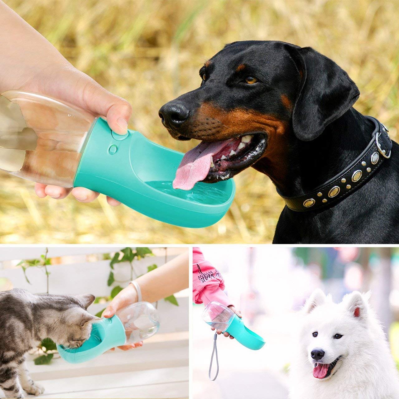Portable Pet Dog Water Bottle - Portable Pet Dog Water Bottle - Portable Dog Water Dispenser, Fashion Pet Water Bottle Travel Dog Cat Water Dispenser with Drinking Feeder, Leak Proof, 350ml/12oz