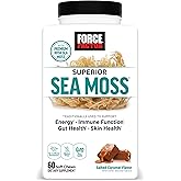 Force Factor Superior Sea Moss, Premium Irish Sea Moss to Support Energy, Immune Function, Gut Health, & Skin Health, Non-GMO, Gluten Free, Salted Caramel Flavor, 60 Soft Chews