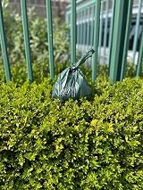 Panmer Poo Bags Leak Proof Dog Waste Bags 500 With Handles 210x350mm view 8