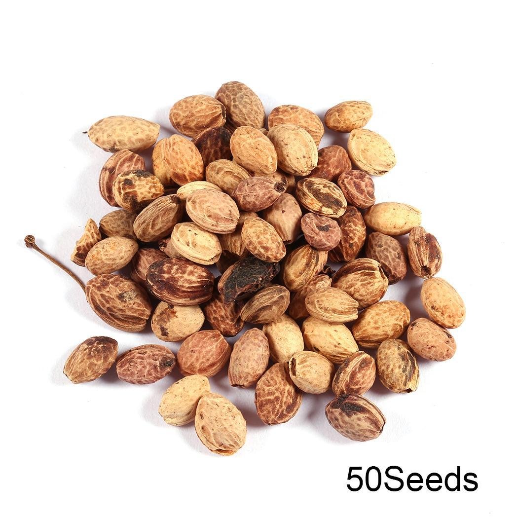 Fanala Giant Pink Sakura Cherry Tree Seeds Oriental Cherry Shrub Perennial Plants Flowers