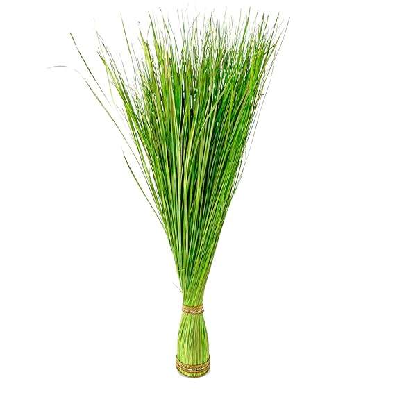 Roomando Dekogras künstlich hoch Kunstgras Ziergras Grasbündel Gras im Bund Naturgras grün/weiß (grün 105 cm)