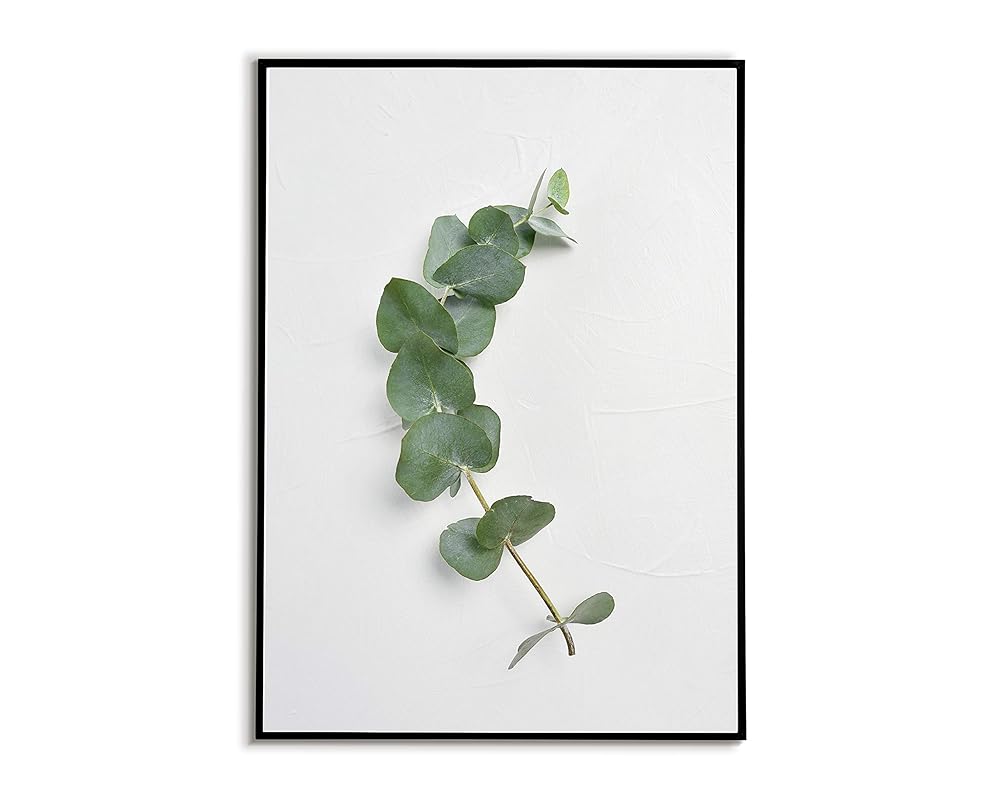 Eukalyptus Deko Bild Eucalyptus Pflanz Kunstdruck ohne Rahmen herbal