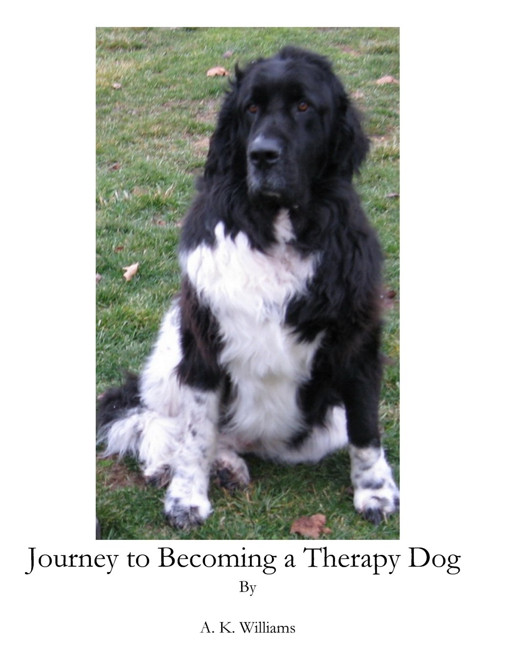 becoming a therapy dog