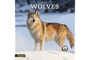 WINDRIO 2024 2025 Wall Calendar, 18 Months July 2024 - December 2025, Wall Calendar Wolves, 12" x 24" Opened,Full Page Months Thick & Sturdy Paper for Kids Teen Calendar Organizing & Planning