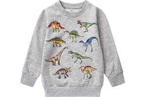 POPSHION Toddler Boys Sweatshirts Dinosaur Long Sleeve Pullover Crewneck Shirts Cartoon Tee Sport Tops for Kids 1-7T