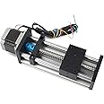 RATTMMOTOR EBX1605 100mm / 3.94" CNC Linear Stage Actuator, Double Optical Axis Linear Slide Rail and 1605 Ball Screw CNC Linear Motion Rail Guide with Nema23 Stepper Motor for DIY CNC Router Machine