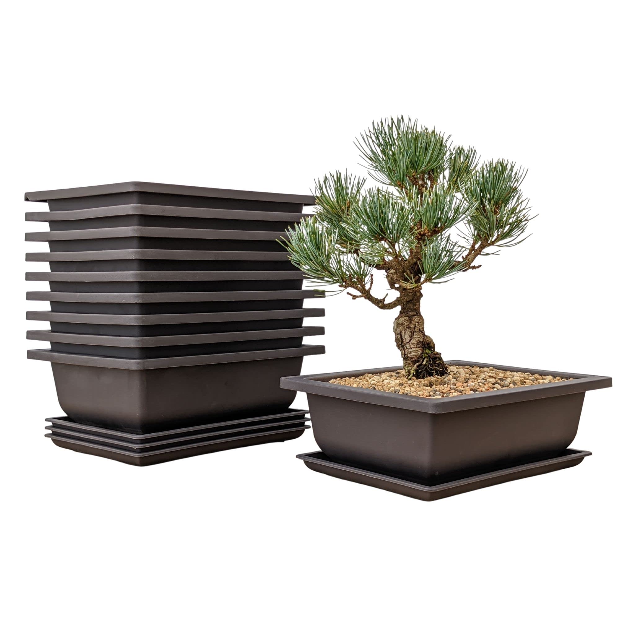 Bonsai Training Pots Humidity Trays - Built in Mesh 8-Inch Large Planters + Made from Durable Shatter Proof Poly-Resin, 9 Pack Pot Set