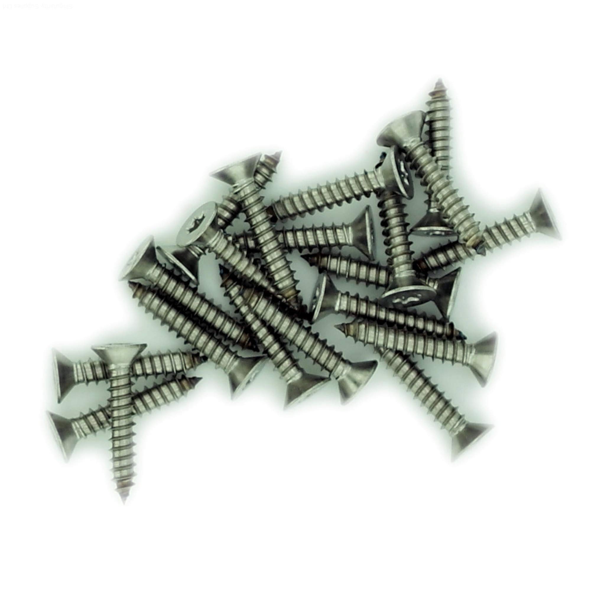 No.6 x 0.625 (3.5mm x 16mm) TX Countersunk Self-Tapping Screw - Stainless Steel (A2) (Pack of 20)