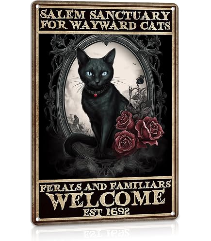 Salem Sanctuary for Wayward Cats Cat Halloween Tin Sign