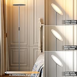 PreeOtti LED Floor Lamp with Remote, Touch