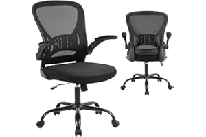 Lennox Furniture Ergonomic Office Chair Computer Chair Desk Chair with Lumbar Support Swivel and Adjustable Height Mesh Fabri