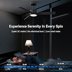 SUNMORY Ceiling Fans with Lights and Remote, 42