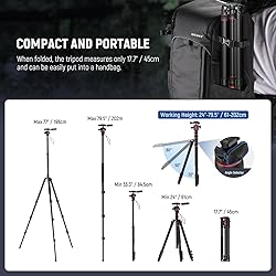 NEEWER Basics Camera Tripod Monopod, 77" Compact