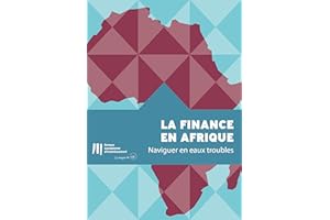 La finance en Afrique: naviguer en eaux troubles (French Edition)