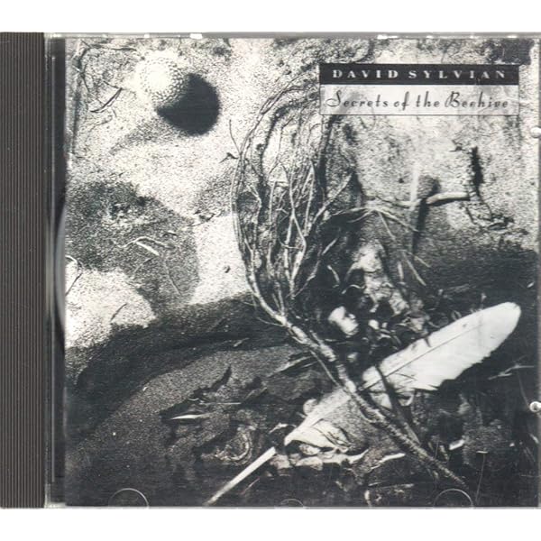 David Sylvian - Dead Bees On A Cake - Amazon.com Music
