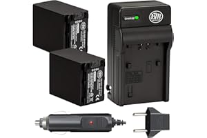 BM PREMIUM BM 2-Pack of NP-FV100 Batteries and Charger for Sony HDR-CX455 CX675 CX260 CX290 CX330 CX380 CX430V CX580V CX760V CX900 PJ430V PJ540 PJ580V PJ650V PJ670 PJ710V PJ760V PV790V PJ810 FDR-AX33 AX53 AX100