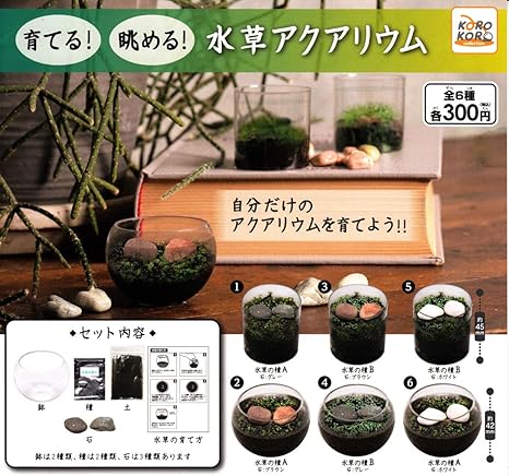 Amazon 育てる 眺める 水草アクアリウム 全6種セット ガチャガチャ おもちゃ おもちゃ