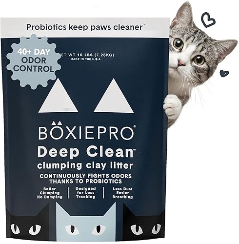 Boxie arena probiótica para gatos, control de olores de 40 días — Arena para gatos