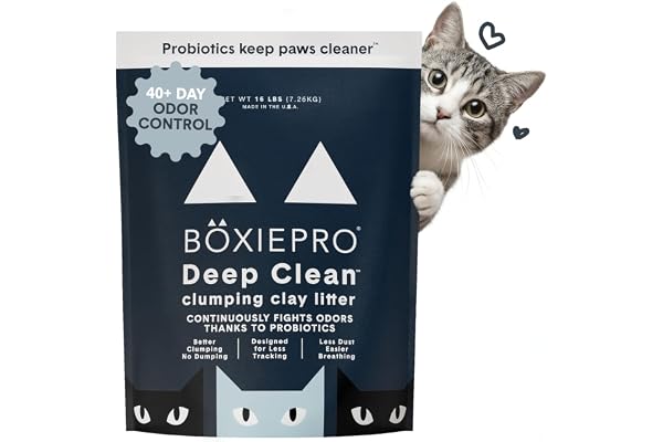 Boxie Probiotic Clumping Cat Litter 40+ Day Odor Control Dust Free 16 lb