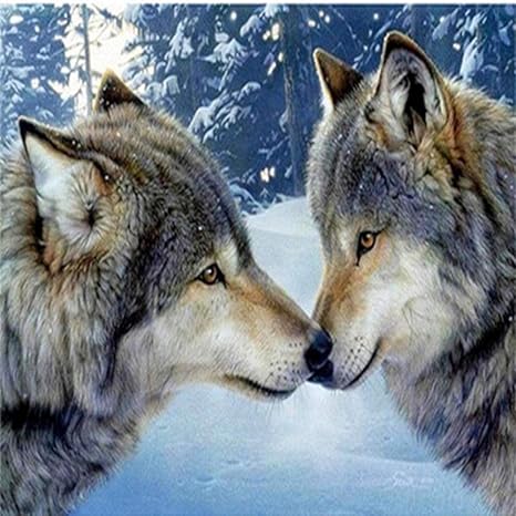 los niños tontos amazon