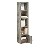 Furinno Luder Shelf Bookcase with 1 Door Storage