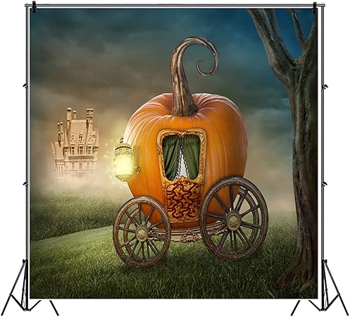 Amazon Baocicco 6x6フィート おとぎ話プリンセス パンプキン 馬車 バックドロップ ファンタジーキャッスル Fattonny シンデレラ ラブストーリーパーティー バックドロップ 女の子 ロイヤルダンシング オールドランタン 写真背景 ガールズ ポートレート バック