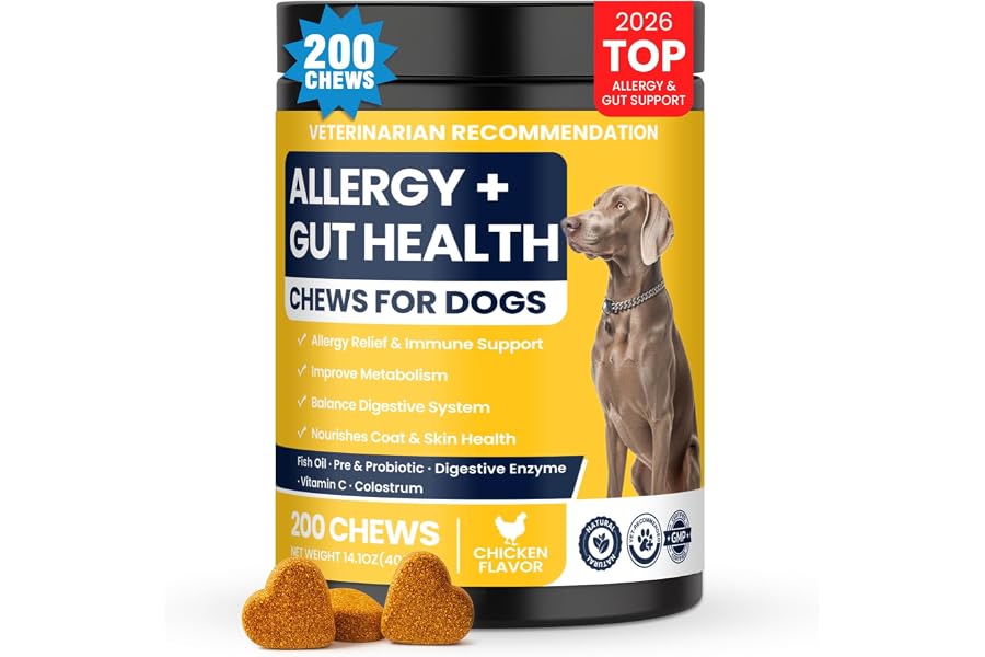 Dog Allergy Chews Probiotics for Dogs Yeast, Itchy Skin and Itchy Ears Itch Relief Immune Pre Probiotic Chews for Pet Digestive Gut Health Anti Itch Supplement for Itching and Licking Dogs Allergies