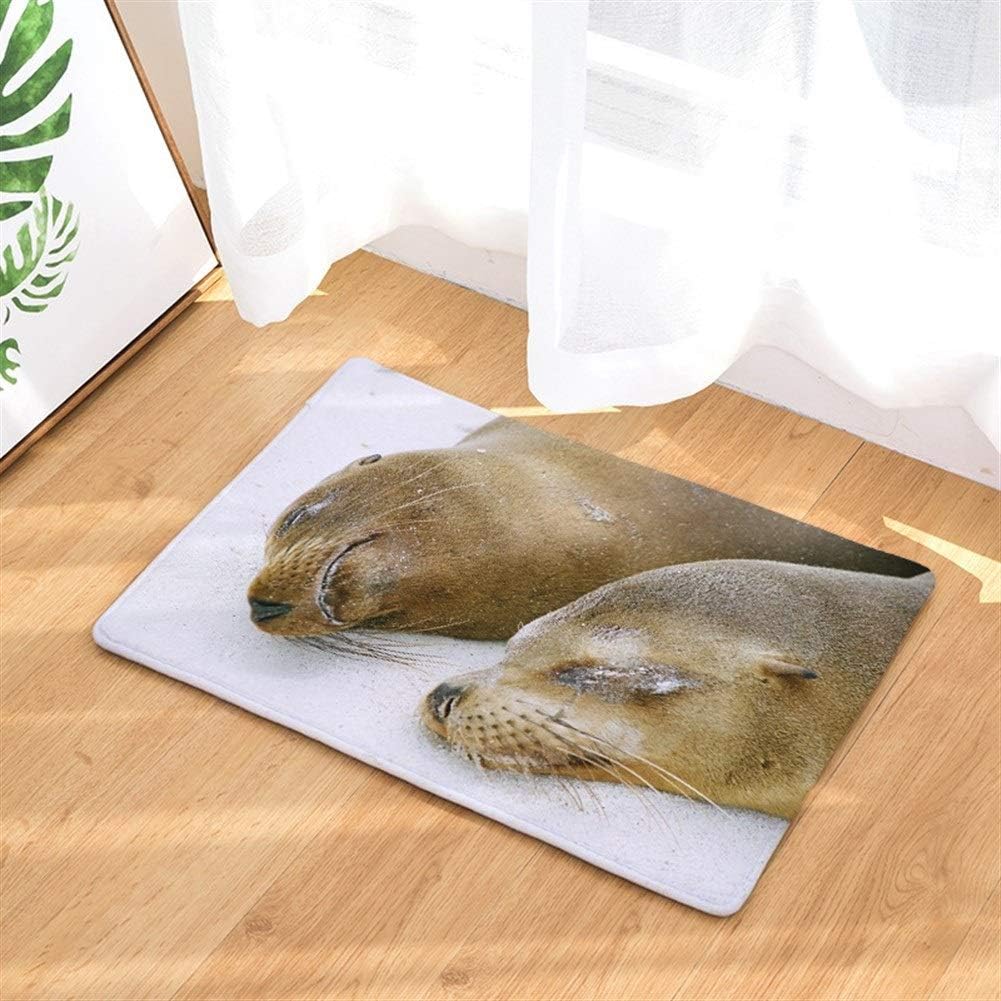 XingXiang Dolphin Printed Bodenmatte Badezimmer Küche Gleitschutzmatte