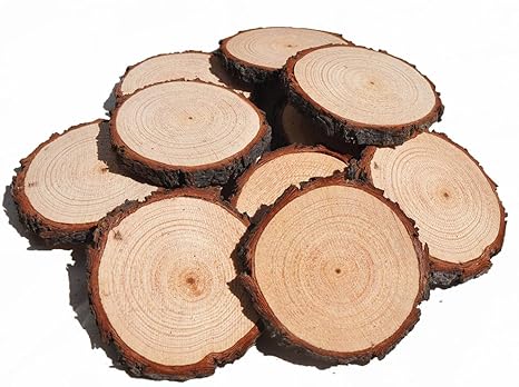 10 Packs Holz Scheibe Runde Naturholz Scheiben, Hochzeit Tisch Display Holzplatte für Weihnachten Tags (3 Inch)
