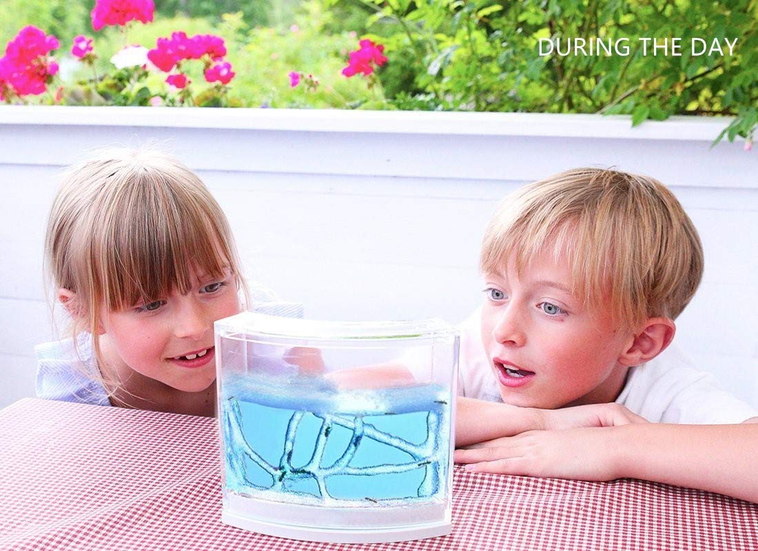 NAVADEAL Ant Farm Habitat for Kids W/LED Light – Great Educational & Science Kit with Nutrient Blue Gel, Observing Ants Create 3D Tunnels to Study Ants Behaviors & Ecosystem (Live Ants not Included)