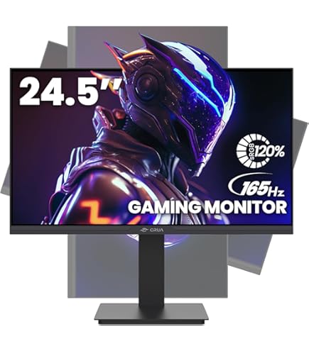 DELL P2417  液晶モニター　23インチ Amazon.com: Dell Professional P2417H 23.8