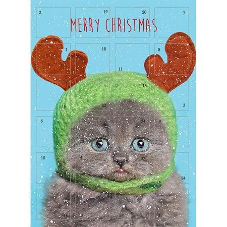 Traditioneller Adventskalender Sir Louis Katze im Hut – Glitzer-Finish 24 Türen