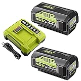 2Pack 6.0Ah Replacement for Ryobi 40V Battery and