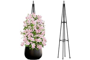 Hsundries 4FT Obelisk Trellis for Climbing Plants Outdoor, 16mm Rust-Proof Extra Thickened Plastic-Coated Metal Pipes, Indoor Climbing Support for Potted Plants, Vines, Flowers Stands,Black