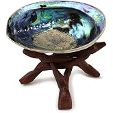 Ocean Shell Studios 5-6 inches Premium Natural Abalone (Pāua) Shell with Wooden Stand for Smudging, Cleansing Home, Meditation, Shell Crafts,Incense Holder, Home D&eacute;cor, 100% Natural, Sustainable.