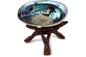 OCEAN SHELL STUDIOS. Ocean Shell Studios 5-6 inches Premium Natural Abalone (Pāua) Shell with Wooden Stand for Smudging, Cleansing Home, Meditation, Shell Crafts,Incense Holder, Home Décor, 100% Natural, Sustainable.