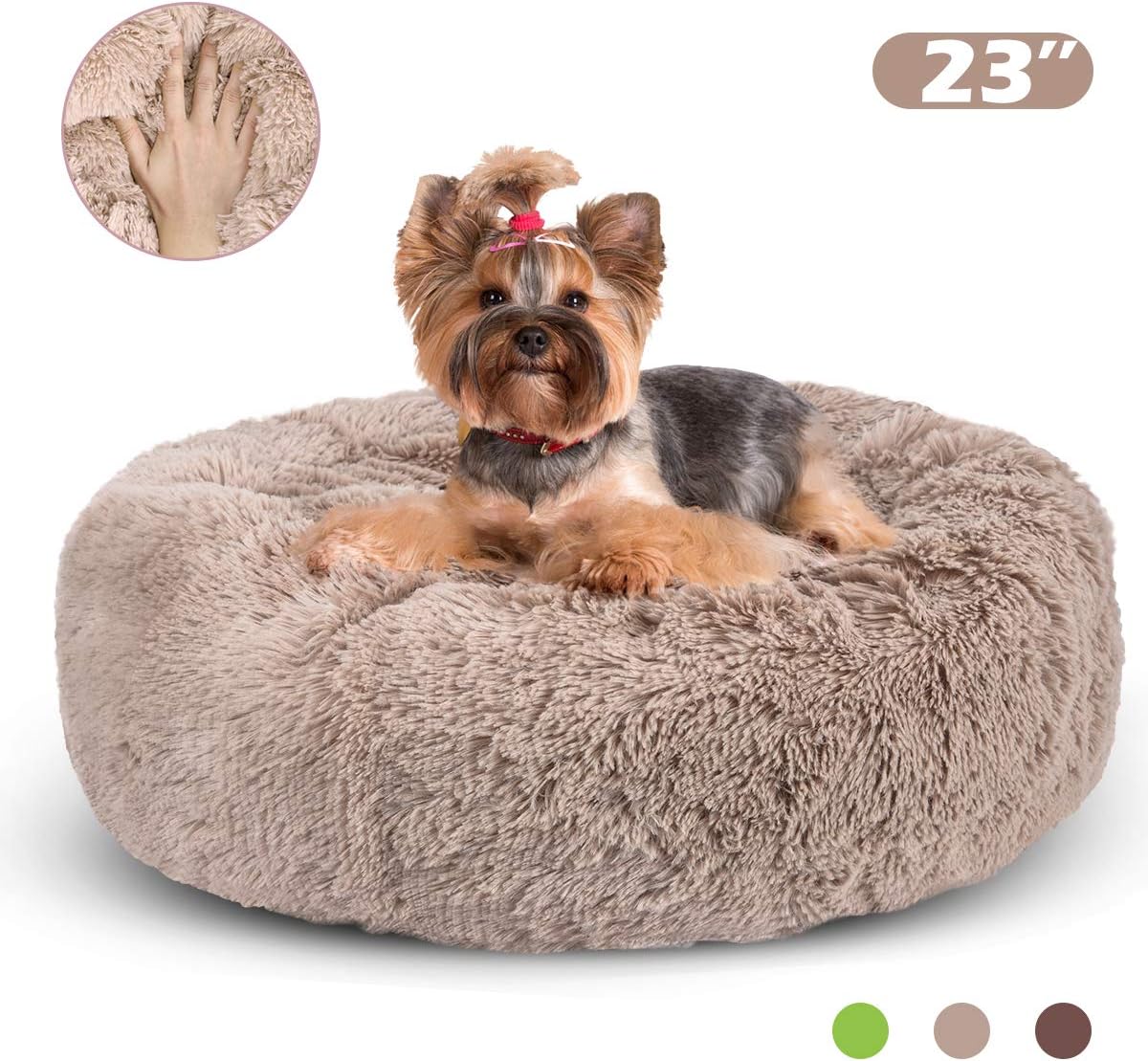 JOEJOY Dog Beds for Small Dogs, Soft Faux Short Plush Dog Beds, Cat Beds for Indoor Cats Pet Bed for Kitten Self Warming Winter Comfy Warming Puppy Beds for Small Dogs Washable : Pet Supplies