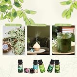 SALKING Nature Fragrance Oils Gift Set Pine Ocean Breeze Rain Fresh Cut Grass view 7