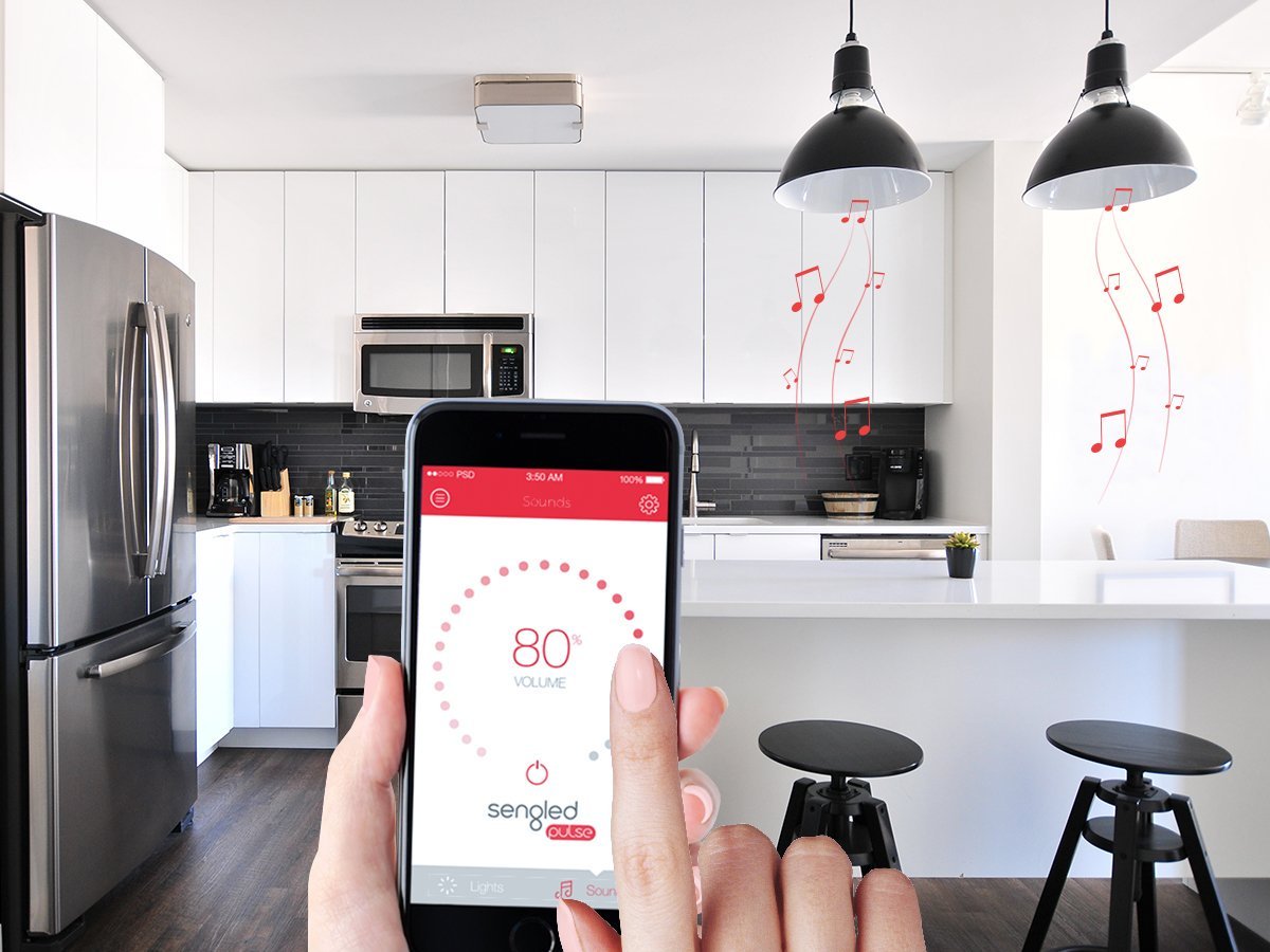 Sengled+ C01-BR30SP  Pulse Dimmable LED Light Bulb with a Built-In Wireless Bluetooth JBL Speaker, Satellite Bulb, Pewter