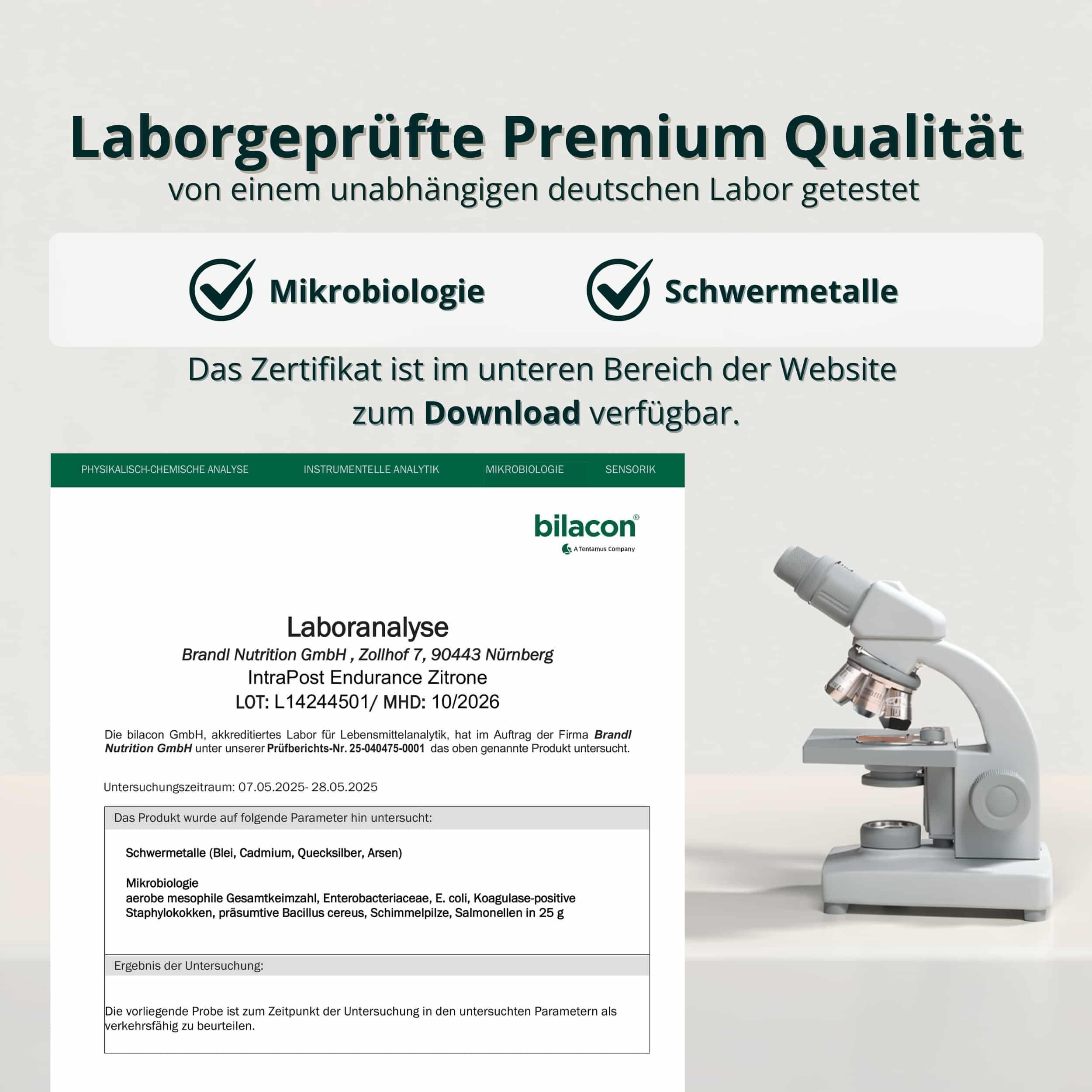 Sport all-in-One Ausdauer-Drink Endurance - hochwertige Elektrolyte, Kohlenhydrate, EAAs & Superfoods - Isotonisches Getränkepulver lemon by brandl® - Electrolytes, Eiweiß - 600g Intrapost Workout 8