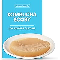 Kombucha Scoby and Starter Tea, Live Kombucha Starter Liquid, Kombucha Tea Starter Culture, Brew Kombucha at Home, Makes…