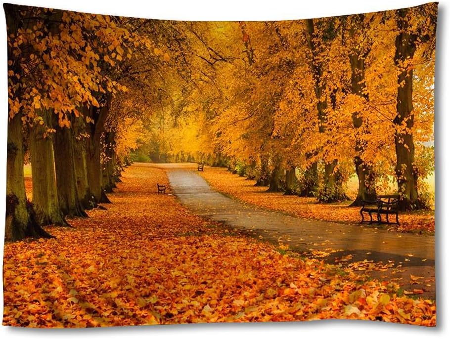 Amazon Com Bench The Autumn Forest Art Print Tapestries Home Wall Decor Tapestry 30x45 Inch Home Kitchen